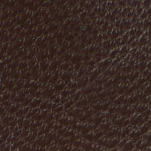 ALDO Kaydienh-WC bottes cavalières marron