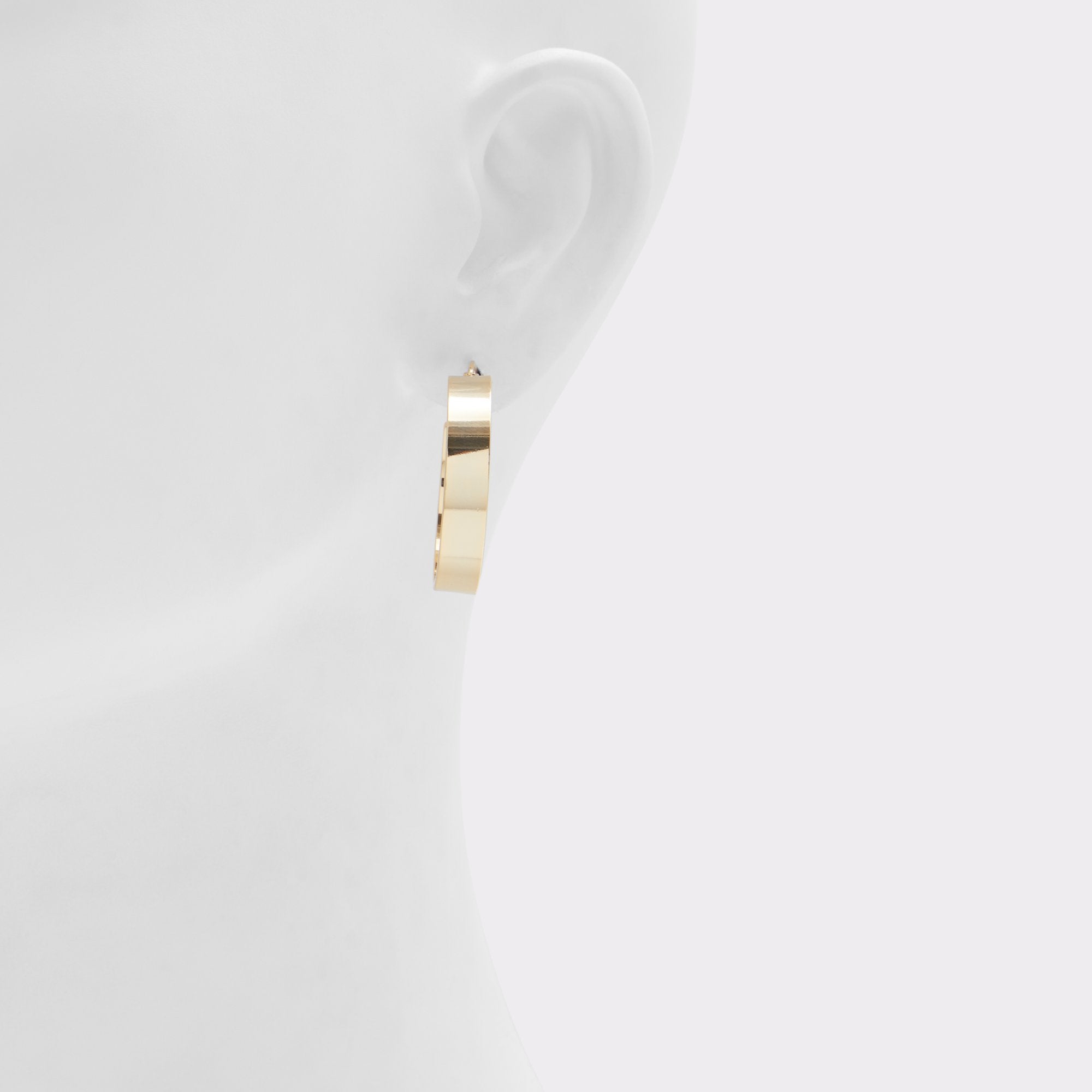 ALDO Erassi boucles d’oreilles créoles métal
