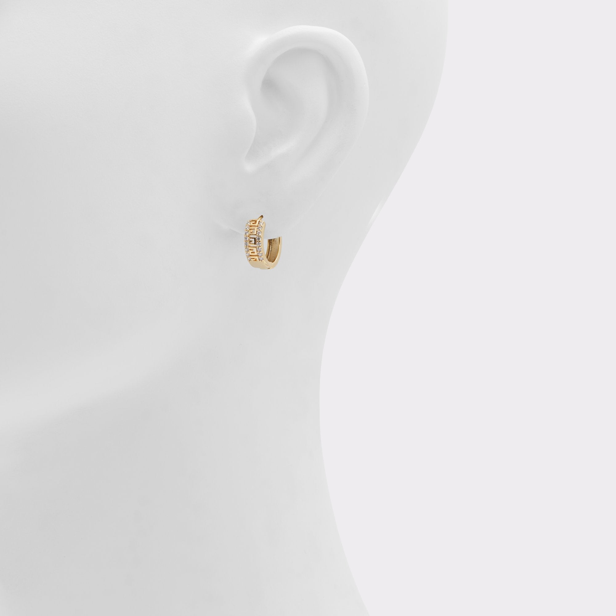 ALDO Dallarel Boucles d’Oreilles Créoles Femme