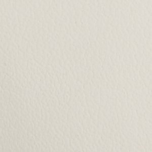ALDO Agathe escarpins Mary Jane talon bloc blanc