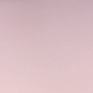 ALDO Ellee accessoire femme doré chic soirée