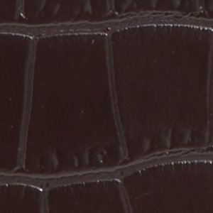 Aldo Carrolynee sac à main marron classique