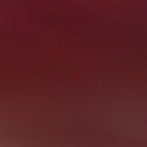 Aldo Aurorria accessoire femme nouveauté
