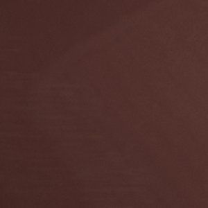 ALDO Eleonie sneakers marron à talon femme