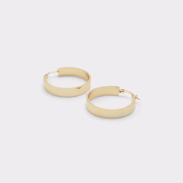 ALDO Erassi boucles d’oreilles créoles métal