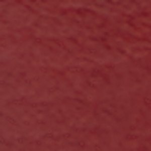 ALDO Beatrine cuissardes bordeaux western