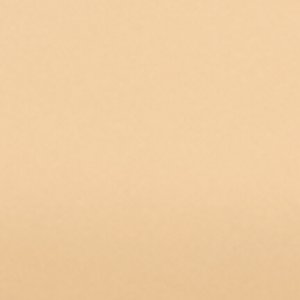ALDO Alexee2.0 ceinture métallisée S/M