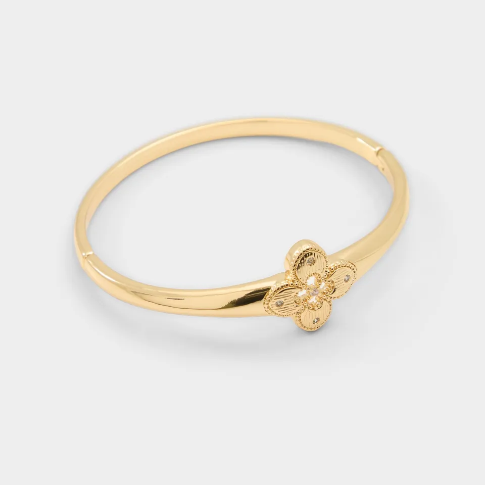 ALDO Wicalinad accessoire femme S/M