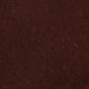 ALDO Livianna bottines à talon marron
