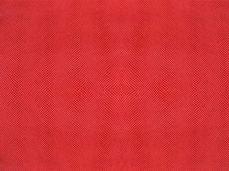 Dessine Moi Un Soulier vipérine rouge échantillon cuir