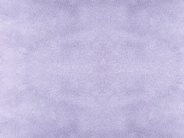 Dessine Moi Un Soulier velours mauve échantillon matière