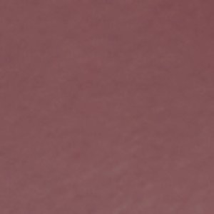 ALDO Alanie ballerines bordeaux slingback