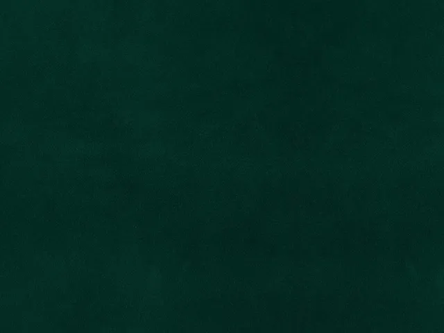 Dessine Moi Un Soulier velours vert sapin échantillon tissu vert