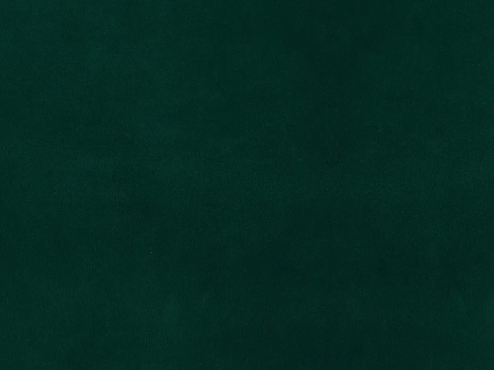 Dessine Moi Un Soulier velours vert sapin échantillon tissu vert