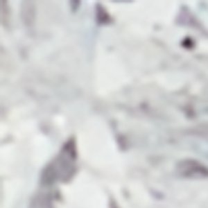 Aldo Ocerican bracelet de cheville fantaisie été