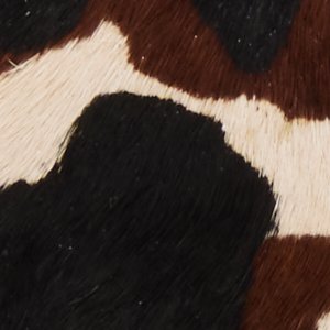 ALDO Jainniee sac épaule imprimé vache marron