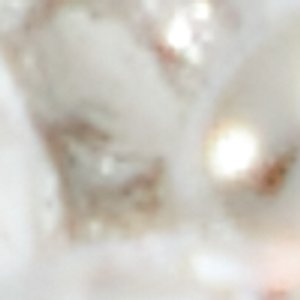 ALDO Alpay boucles d’oreilles manchette