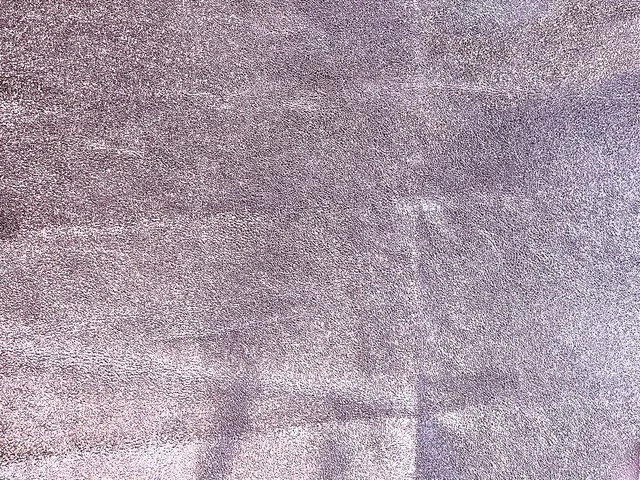 Dessine Moi Un Soulier Irisé échantillon cuir lilas