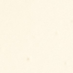 ALDO Aurrora accessoire floral femme