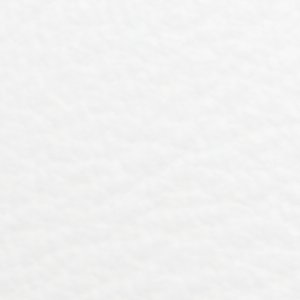 ALDO Jenkin sneaker basse blanche