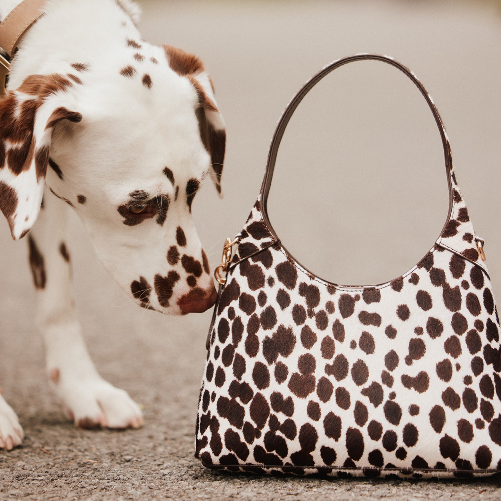 ALDO Smallharperr sac à main animal