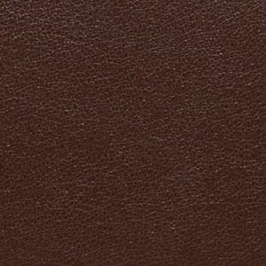 Aldo Lilytotee sac cabas marron fourre-tout