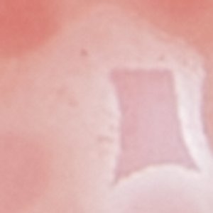 ALDO Kytha accessoire femme finition dorée