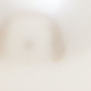 ALDO Pearlita boucles d'oreilles perles