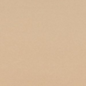 ALDO Saanddy accessoire métallisé