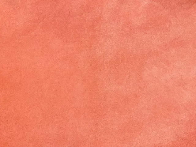 Dessine Moi Un Soulier échantillon velours corail foncé