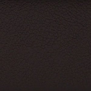 ALDO Aldan ceinture femme noire