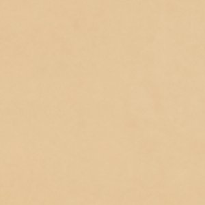 ALDO Orra accessoire femme métallisé doré