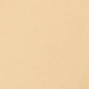 ALDO Dreamsie boucles d’oreilles élégantes