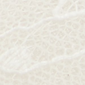 ALDO Azaro bottines blanches petit talon