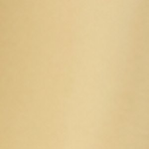 Aldo Forza accessoire métallisé doré femme