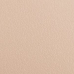 ALDO Vralg Escarpins Beige Nude Bout Pointu
