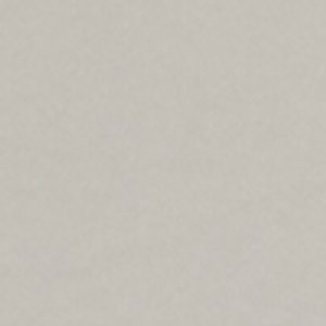 ALDO Nevada bottes western genou femme