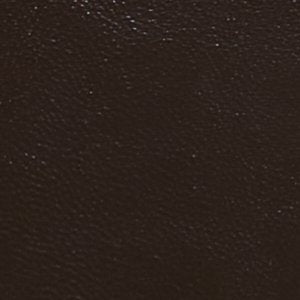 ALDO Prescot portefeuille homme noir